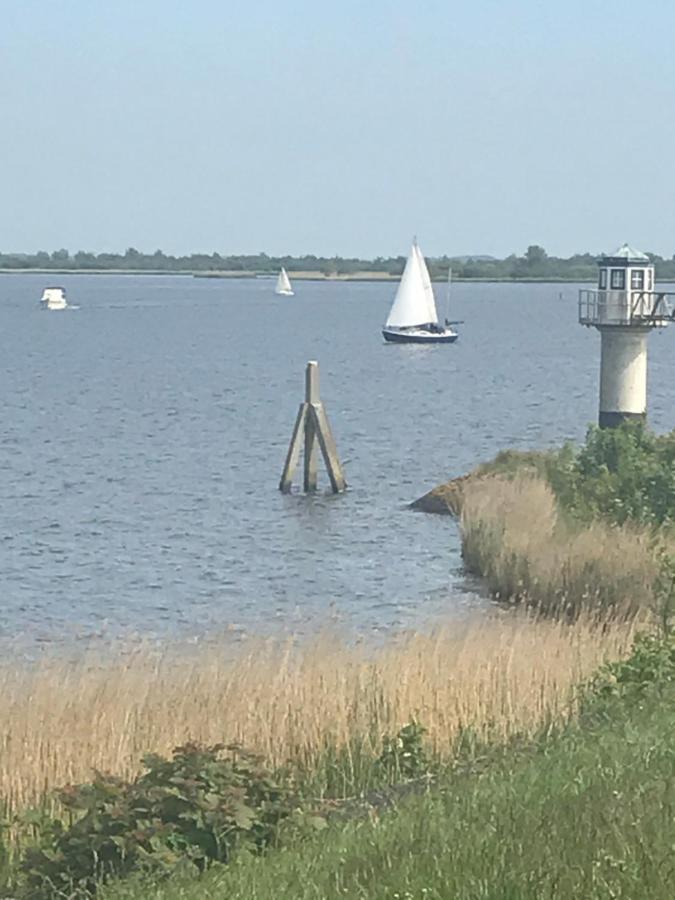De Lauwersmeer Vogel Mit Eingezaeuntem Garten Anjum Exterior foto